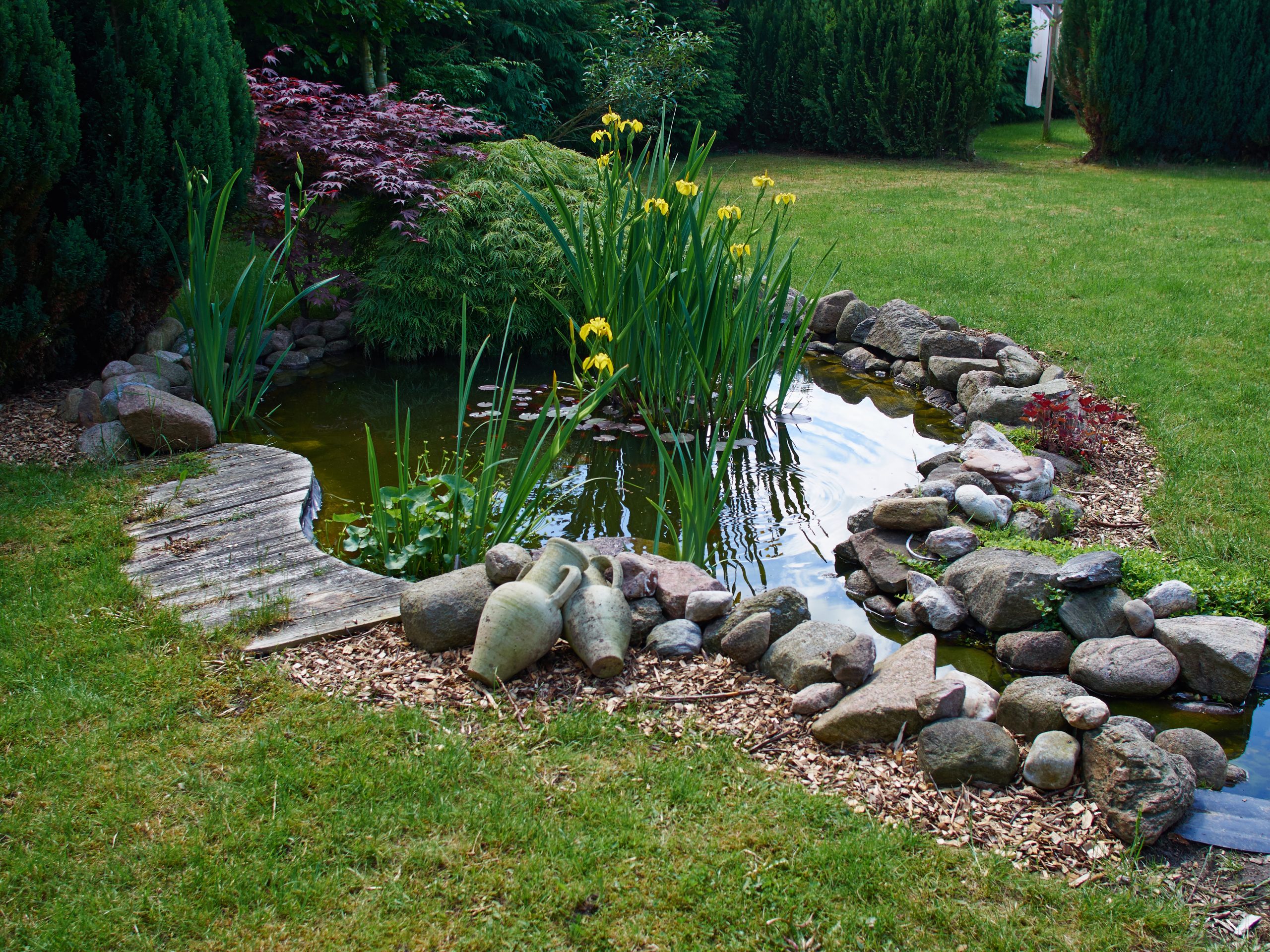 Building a koi pond your step by step guide the for Koi pool cleveleys