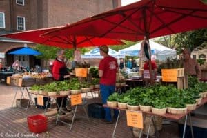 alexandria farmers markets