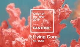 Color of the year - Living Coral