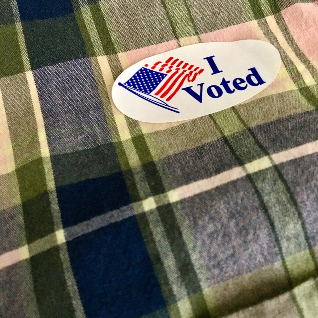 Voting in Alexandria